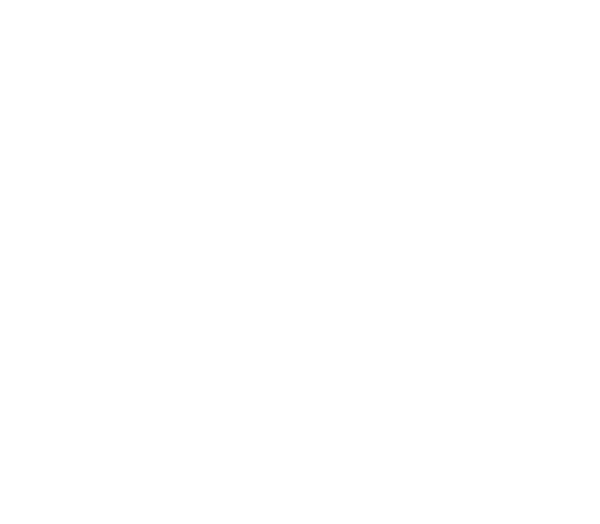 Canopy Rental Services. Your Event, In Expert Hands.