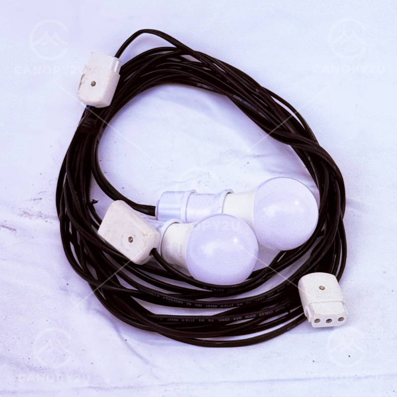 2 units LED Bulb